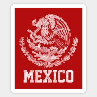 Mexico / Faded Vintage-Style Flag Design Magnet